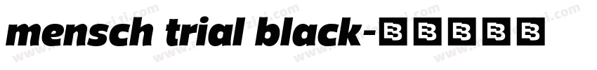 mensch trial black字体转换